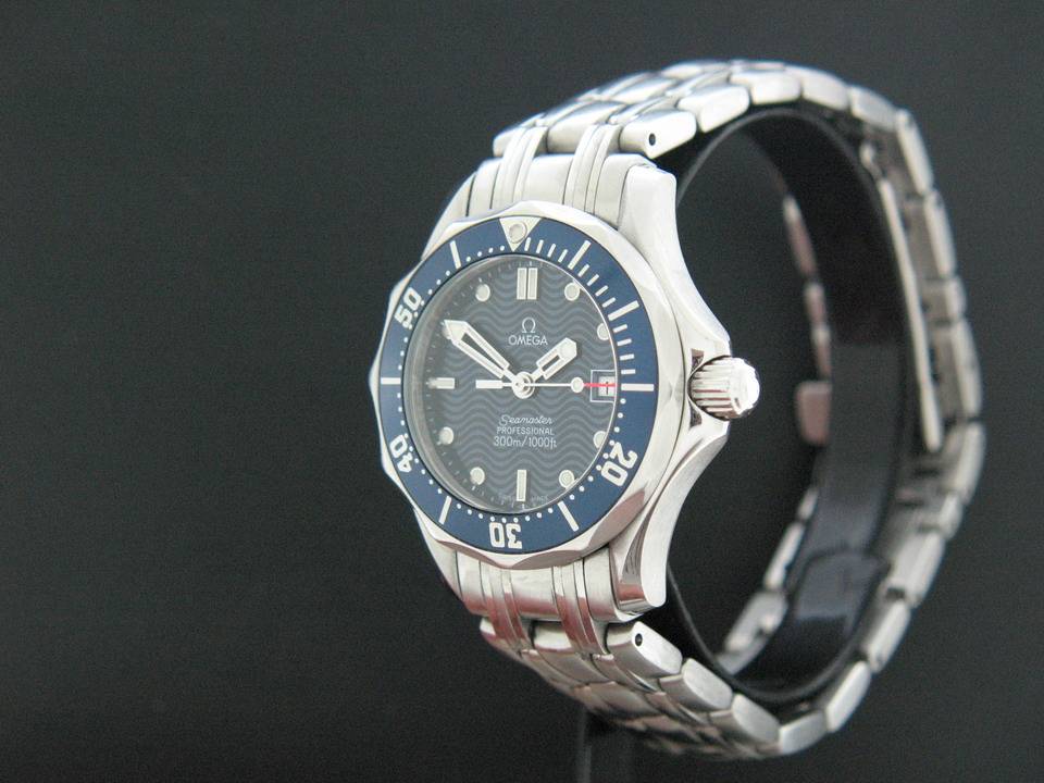 Omega seamaster hotsell professional ladies