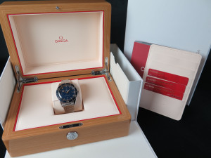 Omega Seamaster 300 Co-Axial Master Chronometer 41MM 234.30.41.21.03.001