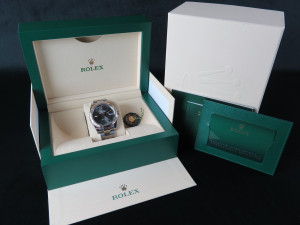 Rolex Datejust 41 Wimbledon Dial 126334