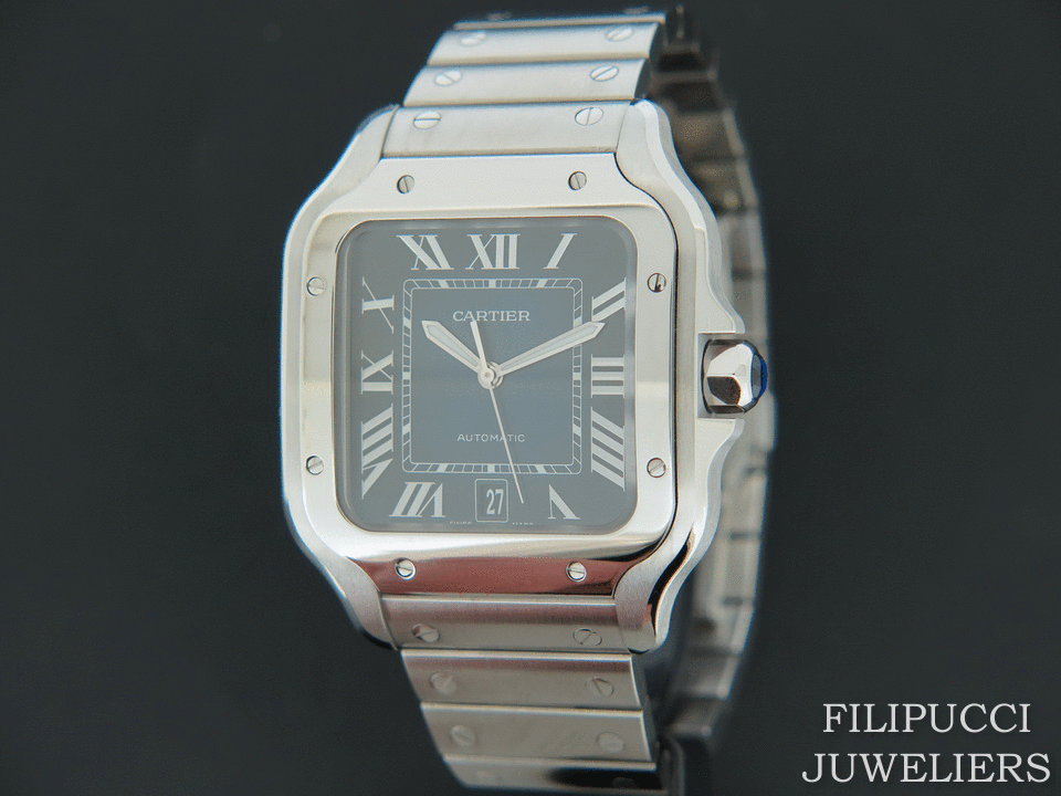 Cartier wssa0013 online