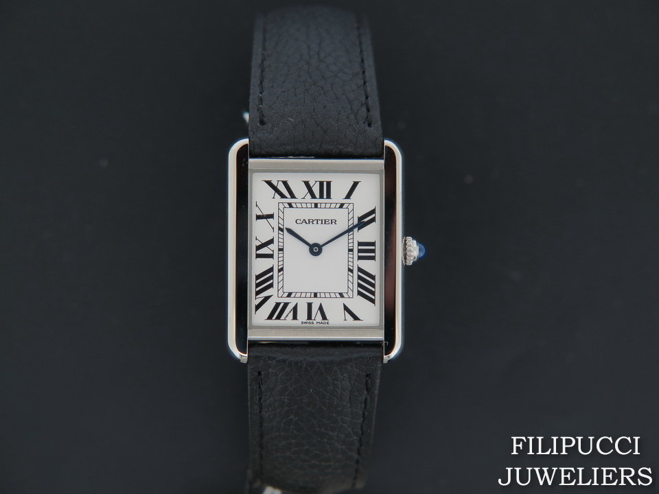 Cartier wsta0028 online