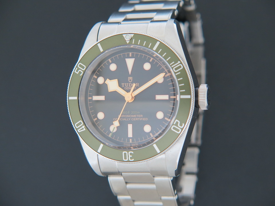 Tudor heritage 2024 black bay 79230g