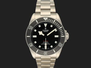 Tudor Pelagos 39 25407N NEW 