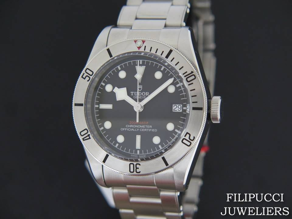 Tudor Heritage Black Bay Steel NEW    (1)