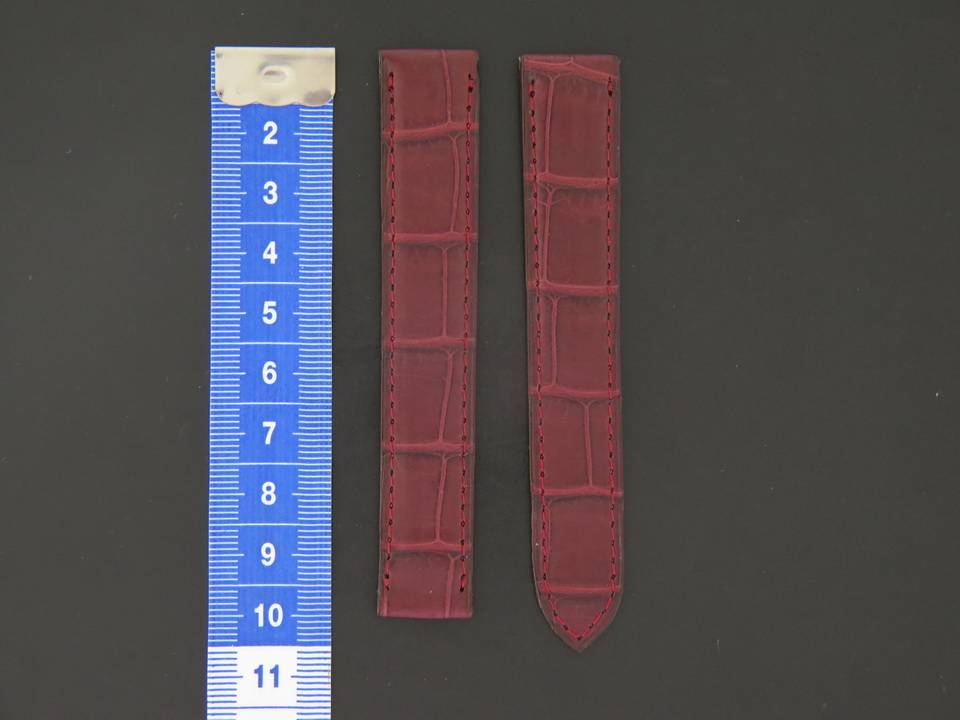 Cartier Crocodile Leather Strap 17 mm (1)