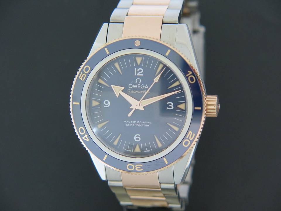 Omega Omega Seamaster 300 Gold/Titanium 233.60.41.21.03.001 (1)