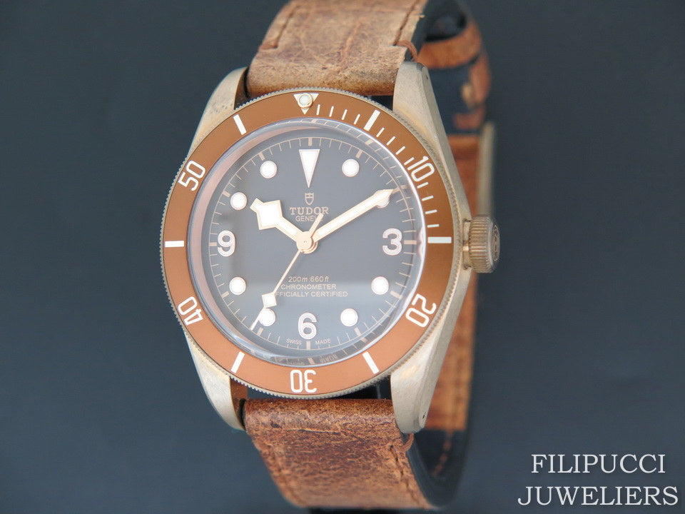 Tudor Heritage Black Bay BRONZE NEW 79250BM (1)