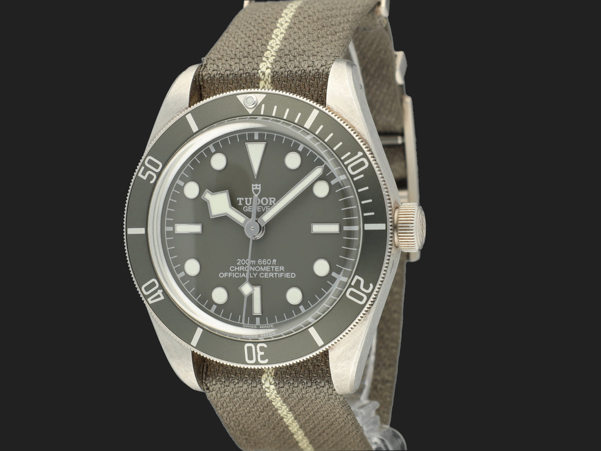 Tudor Black Bay 58 79010SG 925 Silver (1)