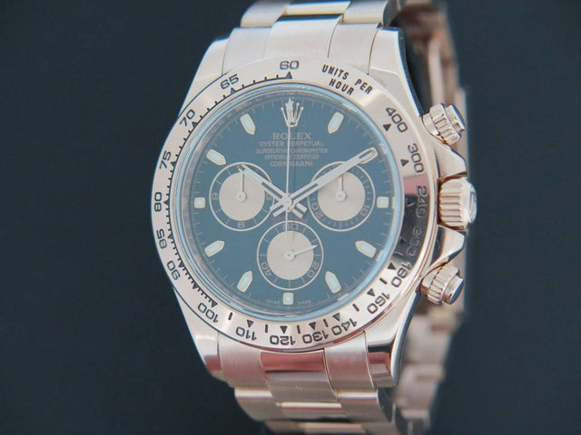 Rolex Daytona Everose