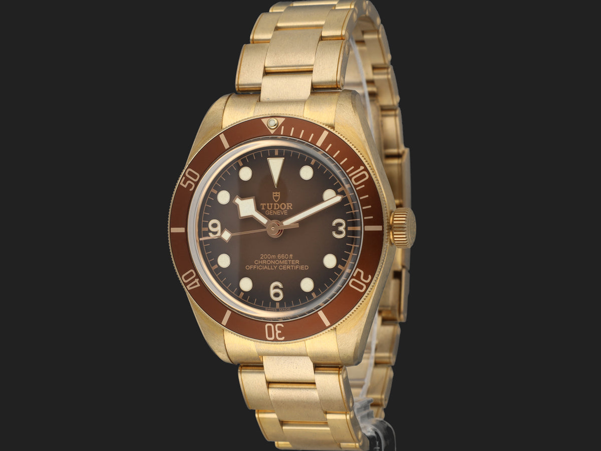 Tudor Black Bay 58 Bronze 79012M NEW (1)