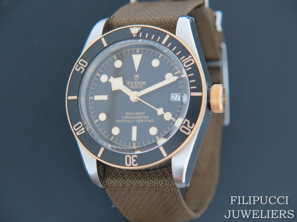 Tudor Heritage Black Bay 41 Gold / Steel NEW  79733N (1)