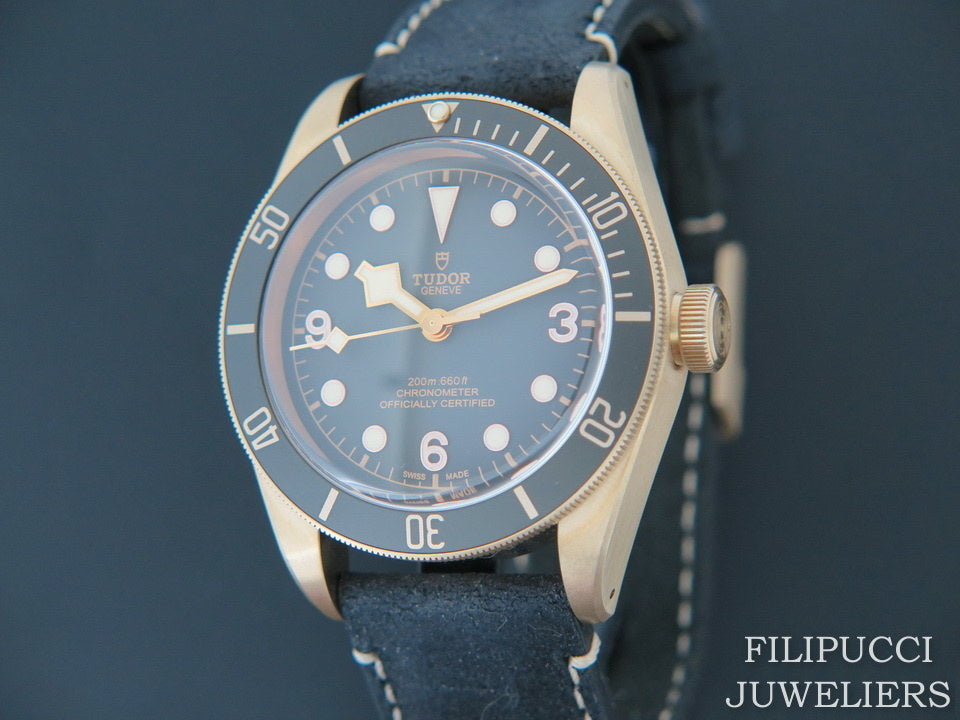 Tudor Heritage Black Bay BRONZE NEW 79250BA   (1)