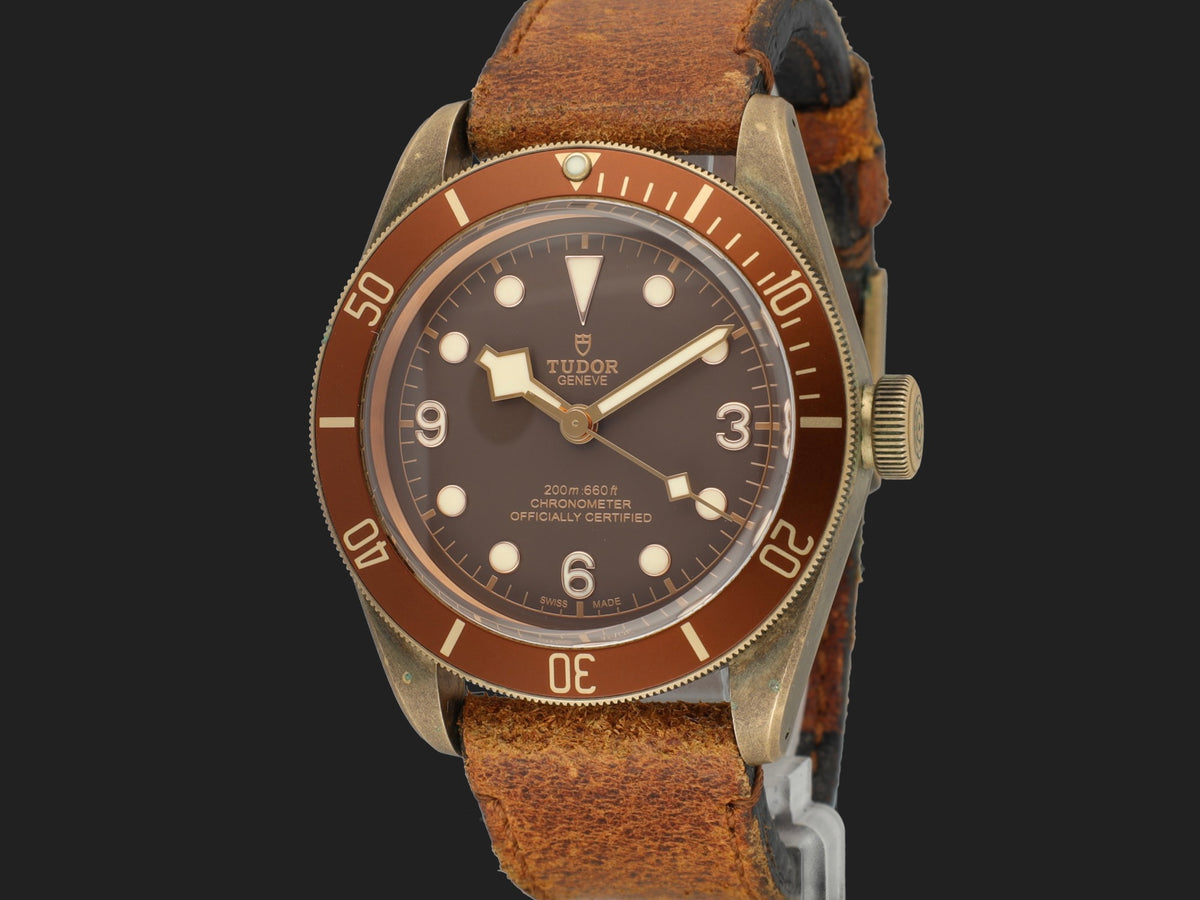 Tudor Heritage Black Bay Bronze 79250BM (1)