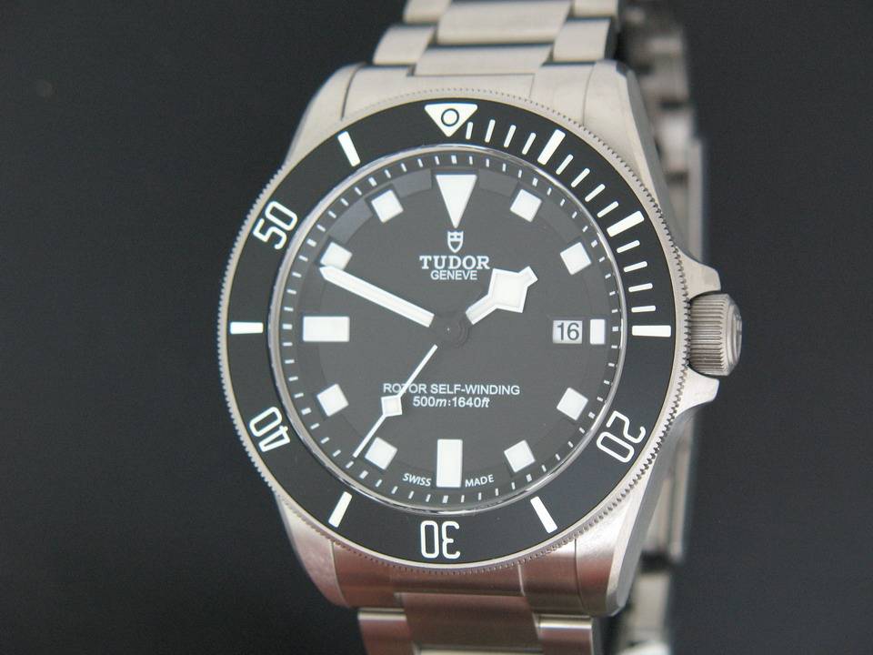 Tudor Pelagos  (1)