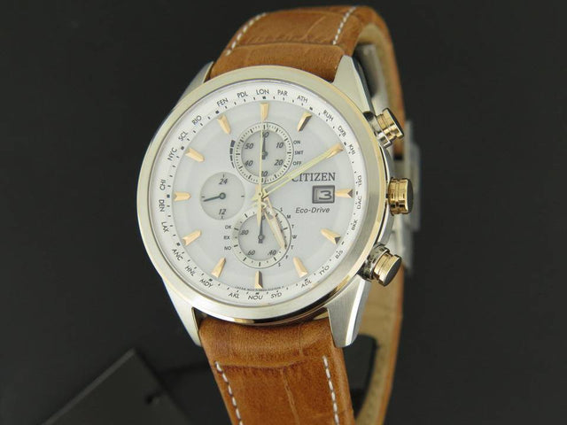 Citizen Elegance