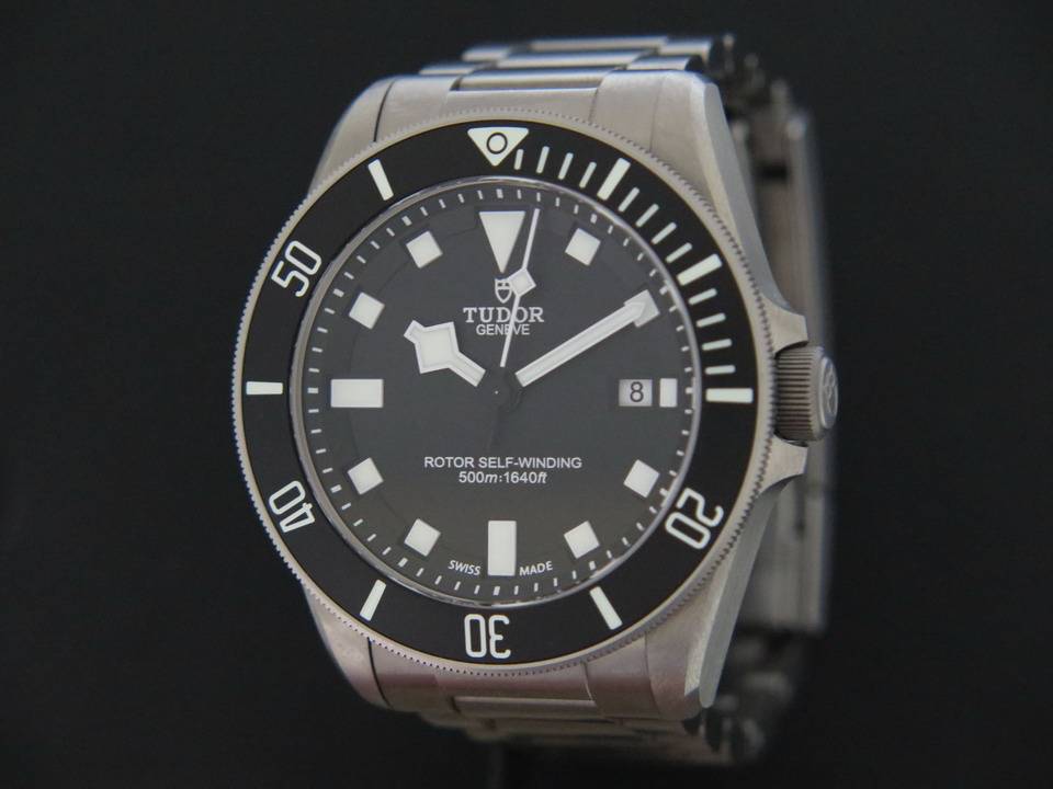 Tudor Pelagos  (1)
