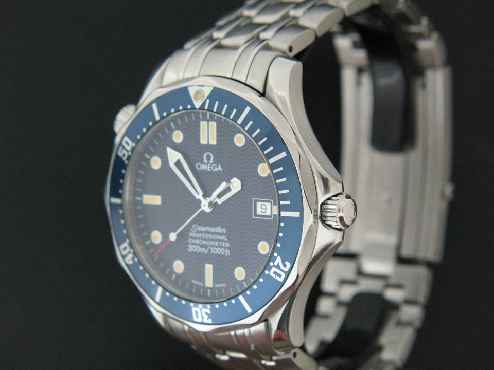 Omega Seamaster Professional (1)