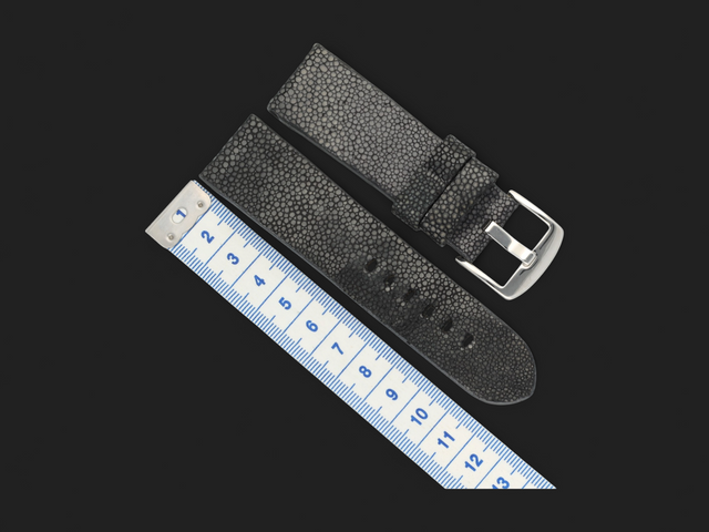 Other Brands Taikonaut Stingray Strap 24mm