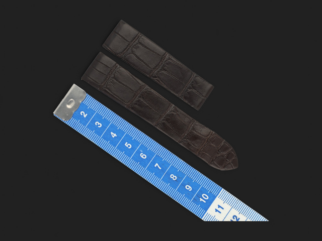 Cartier Brown Alligator Leather Strap 18 mm for Santos Dumont
