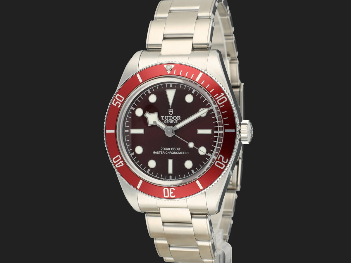 Tudor Black Bay 58 Burgundy Dial 7939A NEW (1)