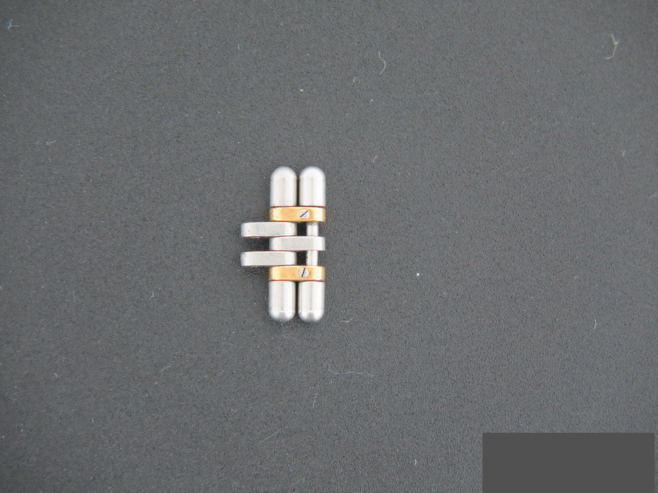 Cartier Must 21 Gold/Steel 17MM Link  (1)