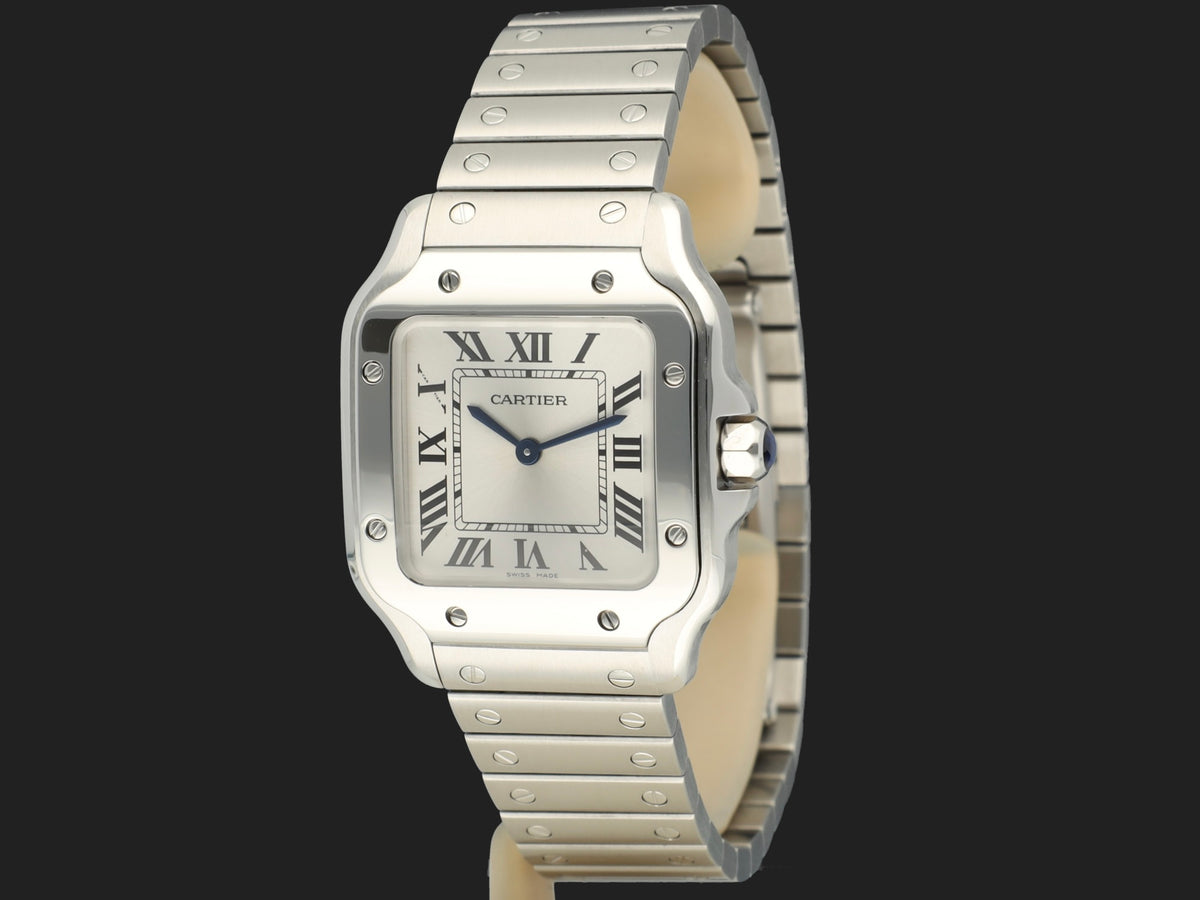 Cartier Santos Small Silver Roman Dial WSSA0082 NEW  (1)