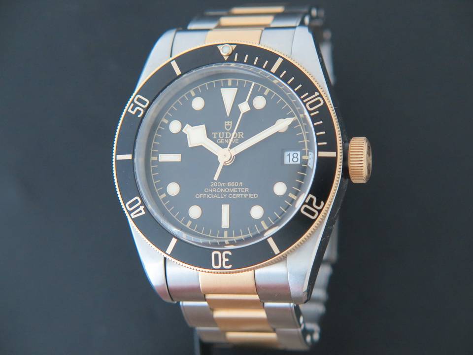 Tudor Heritage Black Bay 41 Gold / Steel 79733 (1)
