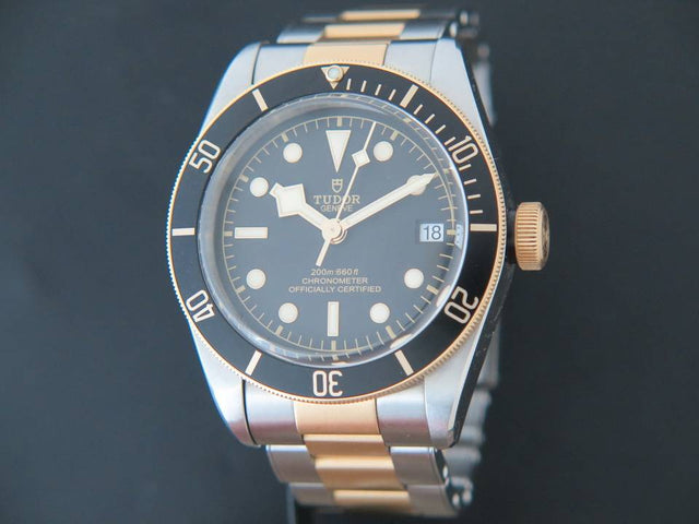 Tudor Heritage Black Bay 41 Gold / Steel