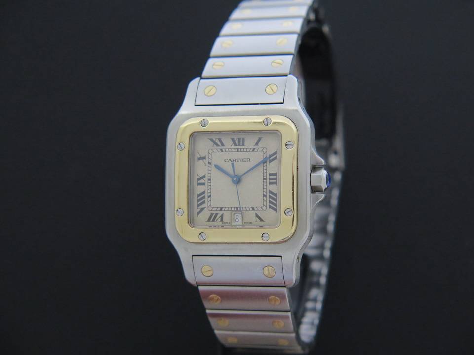 Cartier Santos  (1)
