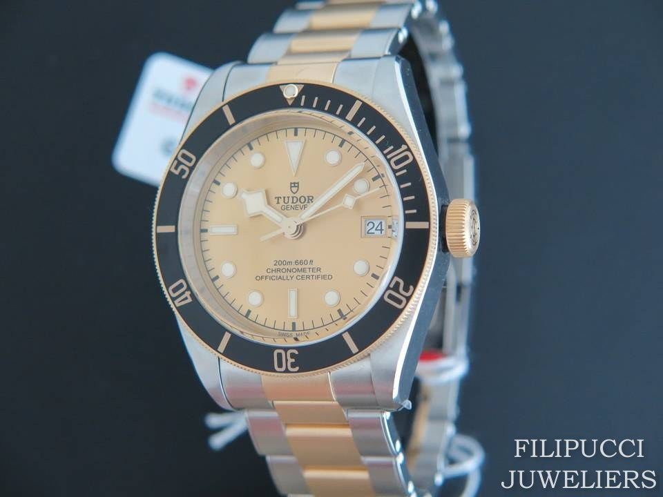 Tudor Heritage Black Bay 41 Gold / Steel NEW 79733N   (1)