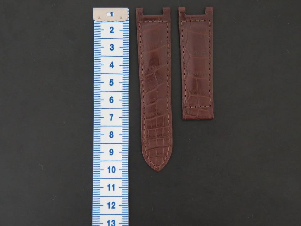 Cartier Pasha Crocodile Leather Strap 20 mm (1)
