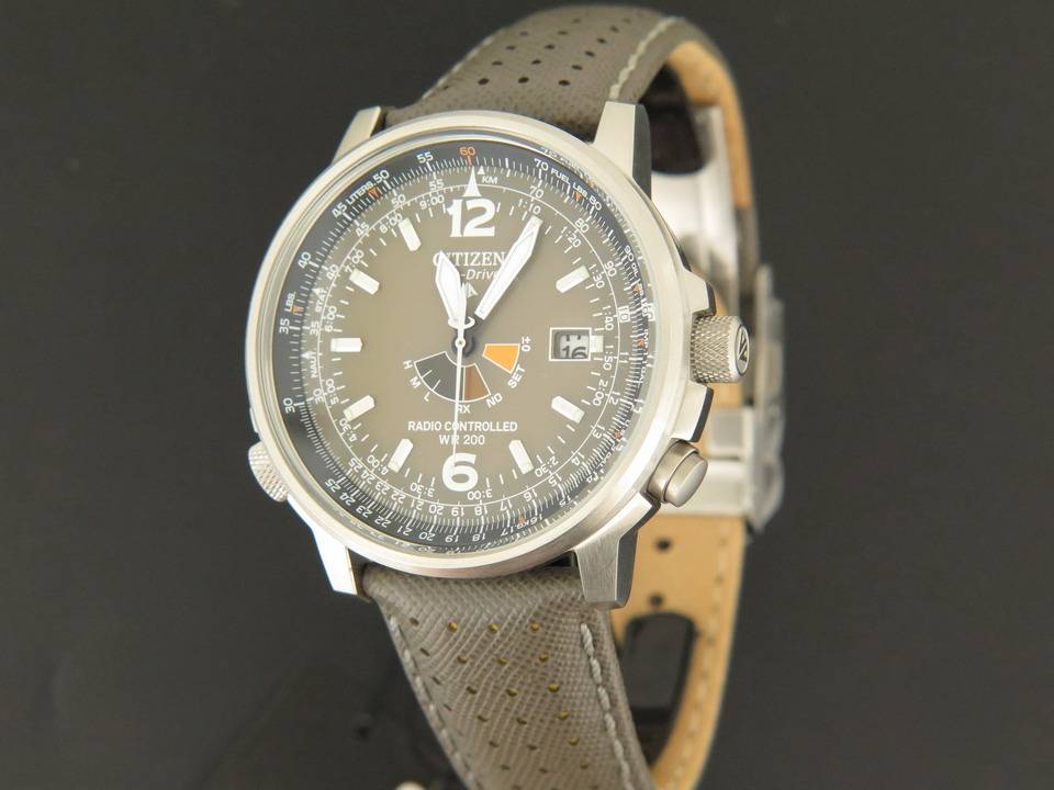 Citizen Promaster - Sky (1)