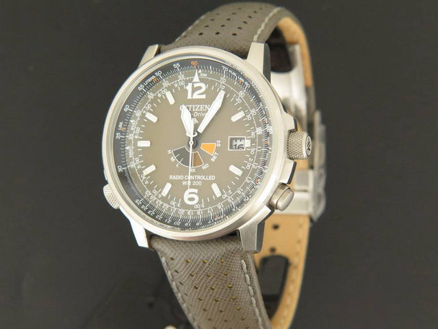 Citizen Promaster - Sky