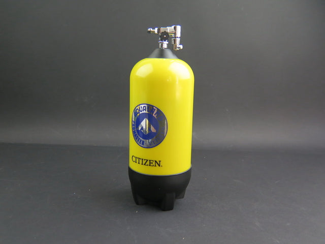 Citizen Watch Box