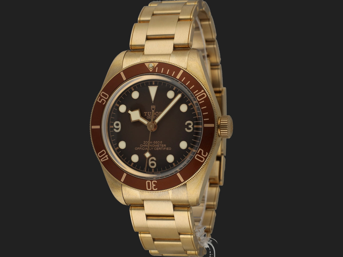 Tudor Black Bay 58 Bronze 79012M NEW (1)