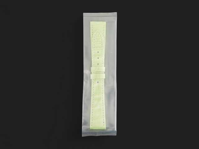 Patek Philippe Crocodile Strap 18 mm NEW