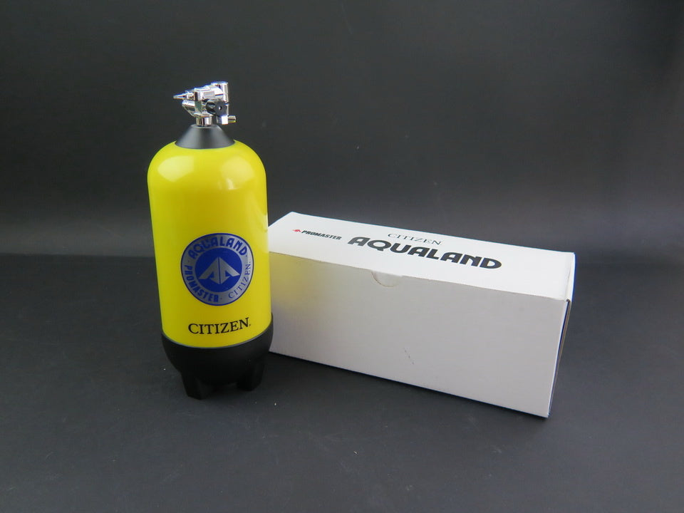 Citizen Watch Box  (1)