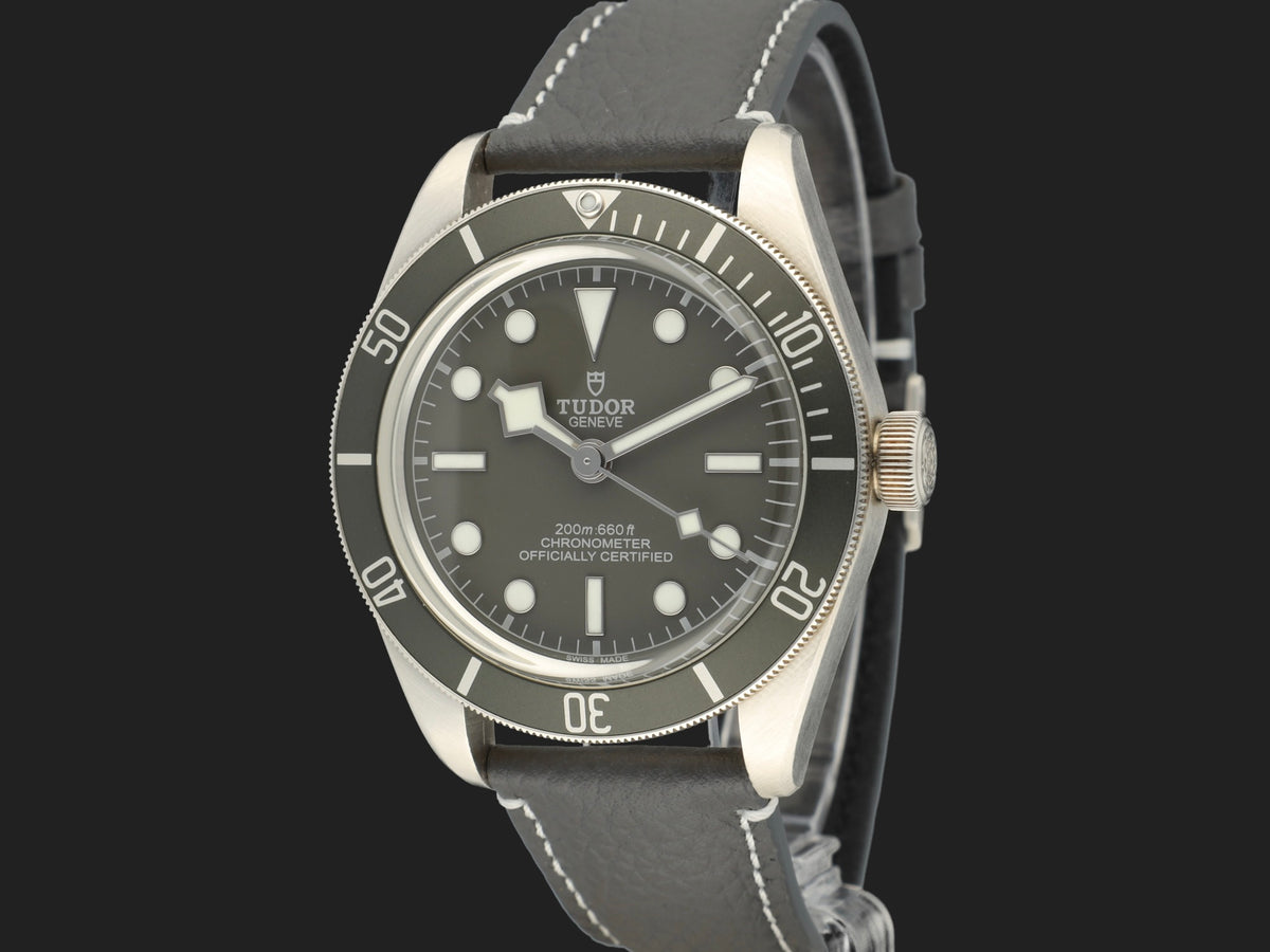 Tudor Black Bay 58 925 79010SG (1)