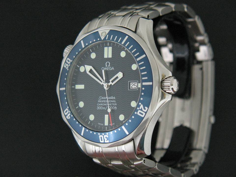 Omega Seamaster Professional (1)