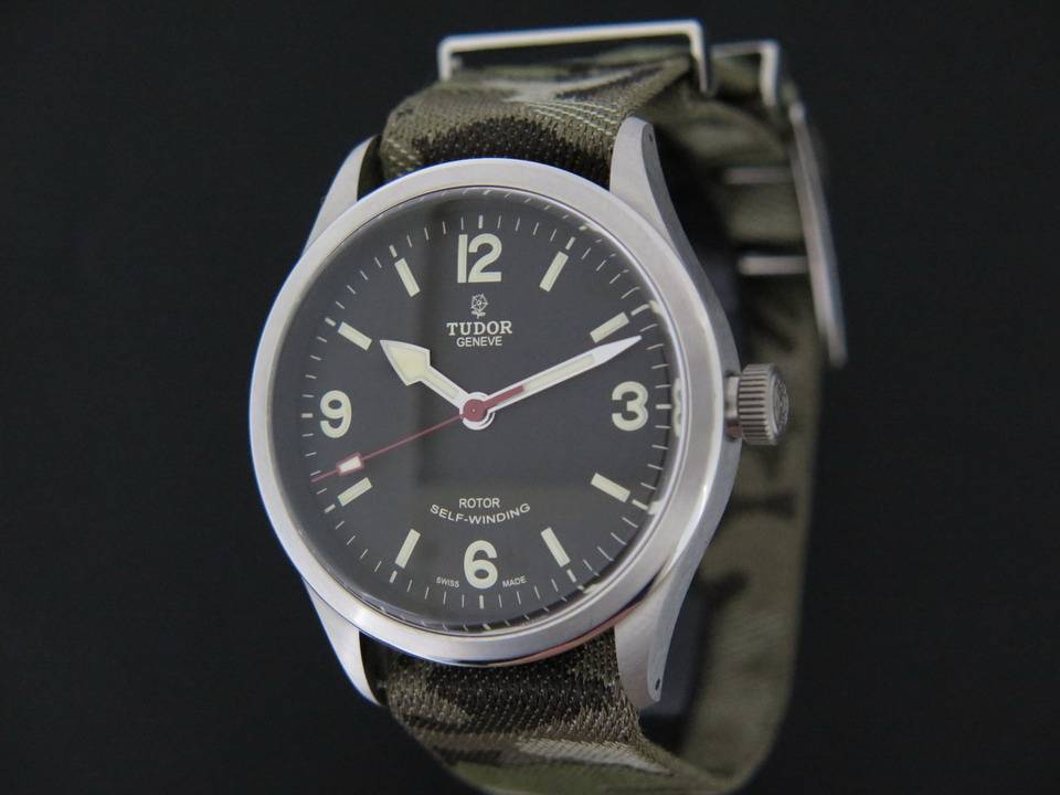 Tudor Heritage Ranger (1)