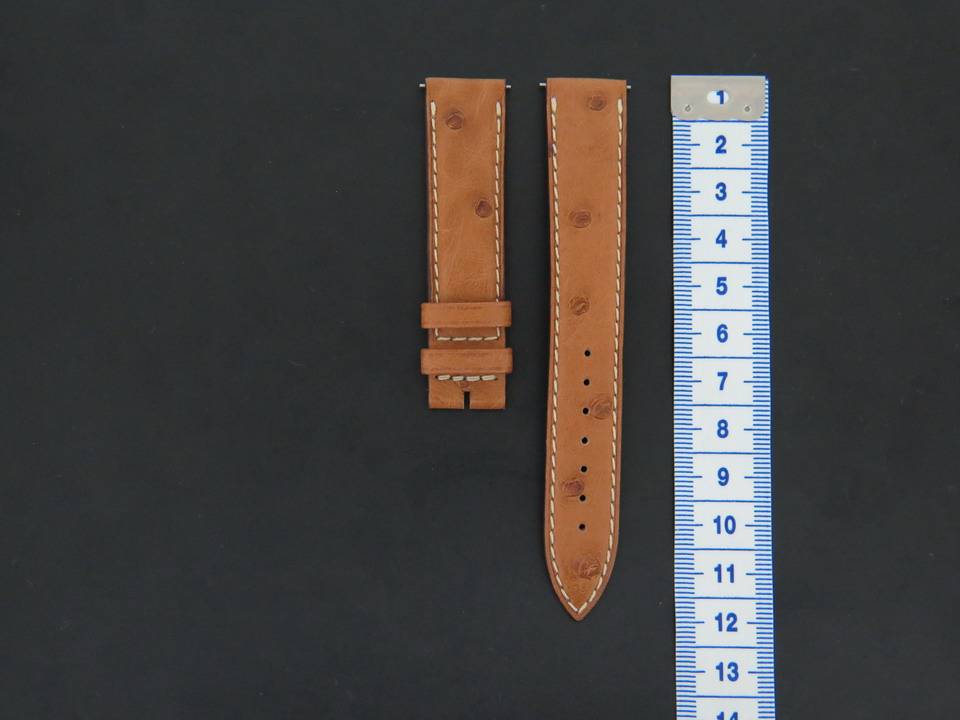 Jaeger-LeCoultre Ostrich Leather Strap 17 mm (1)