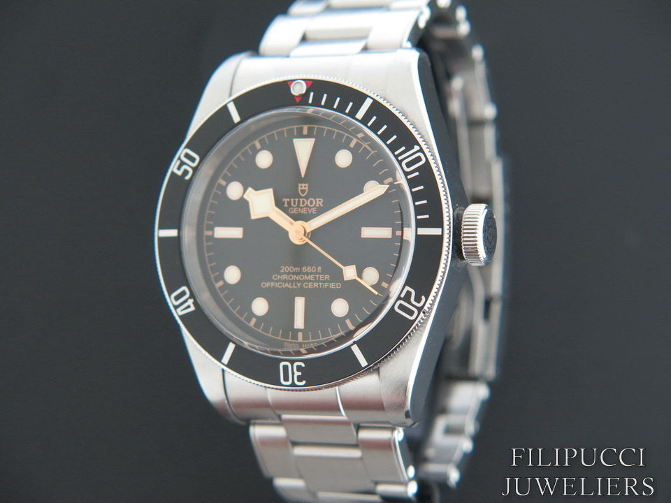 Tudor Heritage Black Bay 79230N  A17388 (1)