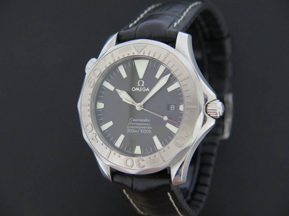 Omega Seamaster Professional 300M (1)