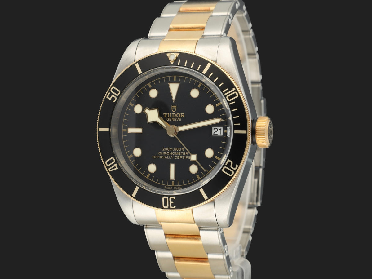 Tudor Heritage Black Bay 41 Gold / Steel Black Dial 79733N (1)