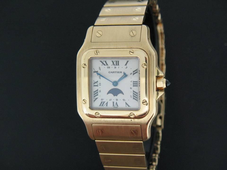 Cartier Santos  (1)